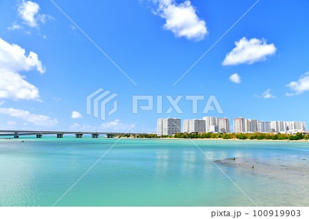 報得川越しに豊崎／豊崎にじ公園方面を望む(沖縄県豊見城市)【2023.2】 100919903
