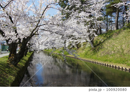 弘前公園の外濠（青森県弘前市） 100920080