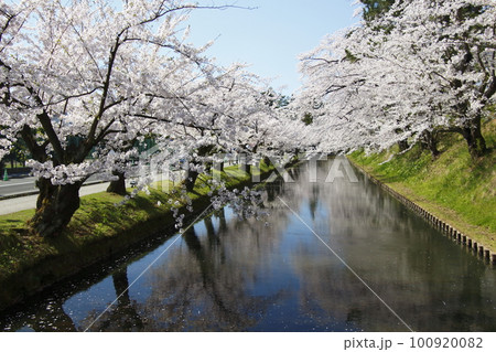弘前公園の外濠（青森県弘前市） 100920082