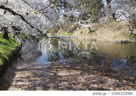 弘前公園の中濠(青森県弘前市) 弘前公園の中濠(青森県弘前市) 100920086