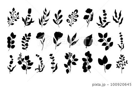 Spring herbs, black leaves silhouette, twig branches. Summer plants, eucalyptus , lavender and different berries, sprig and olive, cute flowers, palm bush. Vector illustration isolated set 100920645