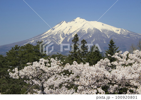 春の弘前公園から望む岩木山(青森県弘前市) 春の弘前公園から望む岩木山(青森県弘前市) 100920801