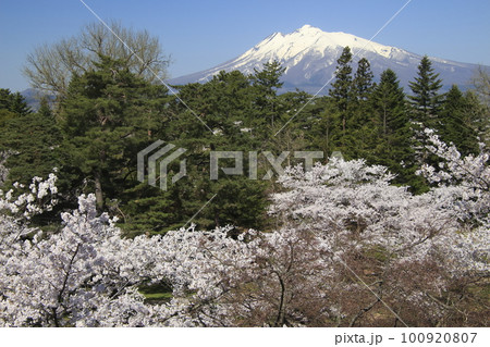春の弘前公園から望む岩木山(青森県弘前市) 春の弘前公園から望む岩木山(青森県弘前市) 100920807