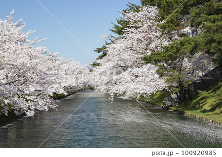 弘前公園の外濠（青森県弘前市） 100920985