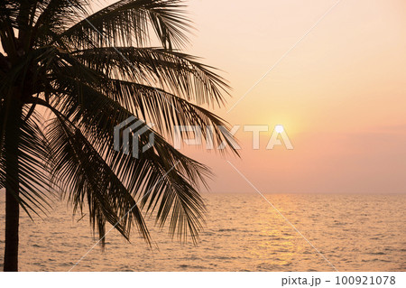 Silhouette coconut palm tree on sea and sunset sky background Silhouette coconut palm tree on sea and sunset sky background 100921078