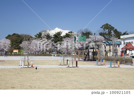 弘前市民中央広場（青森県弘前市） 100921105