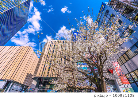 日本の東京都市景観 池袋駅東口にあるハレザ池袋と桜などを望む 100921108