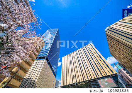 日本の東京都市景観 池袋駅東口にあるハレザ池袋や桜などを望む 日本の東京都市景観 池袋駅東口にあるハレザ池袋や桜などを望む 100921388