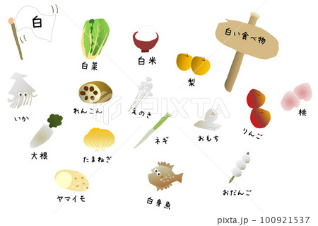 白い食べ物 100921537
