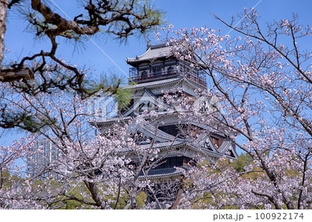 桜に包まれる広島城 100922174
