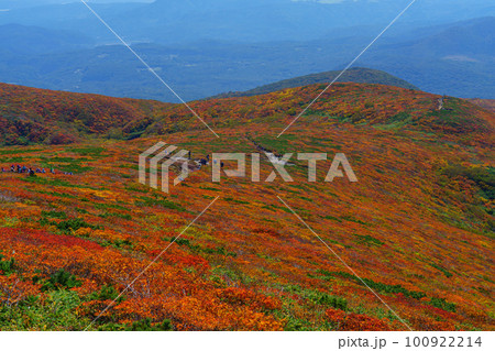 神の絨毯　日本一美しい紅葉　栗駒山　東北観光10月 100922214