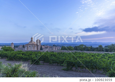 Royal Abbey of Santa Maria de Poblet, cistercian monastery, Catalonia, Spain 100923059