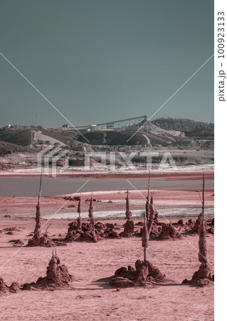 Eliminating the ecological burden in the oldest copper mines in the world, Minas de Riotinto, Spain 100923133