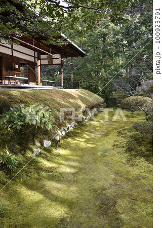 妙心寺 桂春院 真如の庭 妙心寺 桂春院 真如の庭 100923791