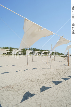 黒潮町Tシャツアート展 100923873