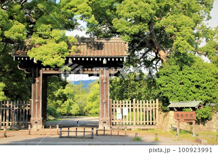 京都御苑 100923991