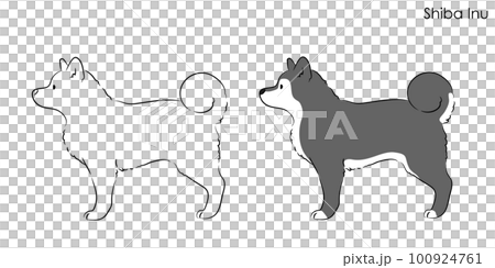 横向きのシンプルで可愛い柴犬の線画イラストのイラスト素材 [100924761] - PIXTA
