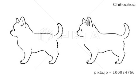 横向きで立つかわいいチワワの線画イラスト 100924766
