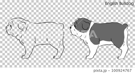 Sideways simple and cute bulldog line drawing illustration 100924767