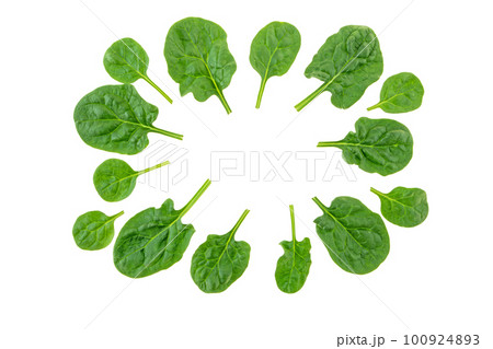Spinach leaves frame isolated on white. Spinach leaves frame isolated on white. 100924893
