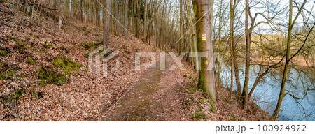 Panoramic view over a forest track in magical deciduous and pine forest with ancient aged trees covered with moss and riverside, Germany, at warm sunset Spring evening 100924922