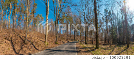 Panoramic view over a road in magical deciduous and pine forest, rocky granite hills landscape at riverside of Zschopau river near Mittweida town, Saxony, Germany, at warm sunset and blue Spring sky. Panoramic view over a road in magical deciduous and pine forest, rocky granite hills landscape at riverside of Zschopau river near Mittweida town, Saxony, Germany, at warm sunset and blue Spring sky. 100925291
