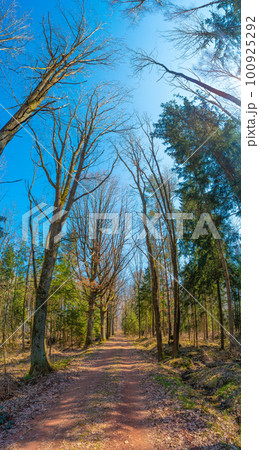 Hiking trail in magical deciduous and pine forest, rocky granite hills landscape at riverside of Zschopau river near Mittweida town, Saxony, Germany, at warm sunset and blue Spring sky. 100925292