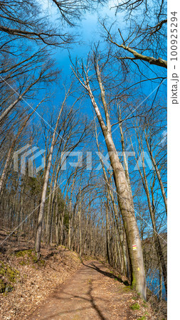 Hiking trail in magical deciduous and pine forest, rocky granite hills landscape at riverside of Zschopau river near Mittweida town, Saxony, Germany, at warm sunset and blue Spring sky. 100925294