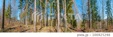 Panoramic view over magical deciduous forest, rocky granite hills landscape at riverside of Zschopau river near Mittweida town, Saxony, Germany, at warm sunset and blue Spring sky. Panoramic view over magical deciduous forest, rocky granite hills landscape at riverside of Zschopau river near Mittweida town, Saxony, Germany, at warm sunset and blue Spring sky. 100925298