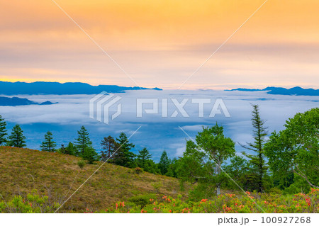 【富士山】初夏の甘利山から見た朝焼けの富士山とレンゲツツジと雲海【山梨県】 【富士山】初夏の甘利山から見た朝焼けの富士山とレンゲツツジと雲海【山梨県】 100927268