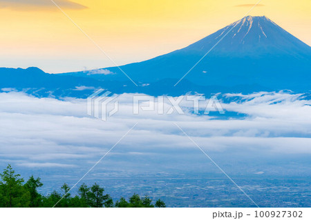 【富士山】初夏の甘利山から見た朝焼けの富士山とレンゲツツジと雲海【山梨県】 【富士山】初夏の甘利山から見た朝焼けの富士山とレンゲツツジと雲海【山梨県】 100927302