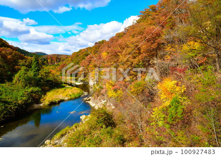 仙台市広瀬川の紅葉（宮城県） 100927483