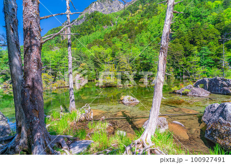 【絶景】初夏の上高地の明神池【長野県】 【絶景】初夏の上高地の明神池【長野県】 100927491
