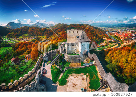 Castle in Celje city 100927927