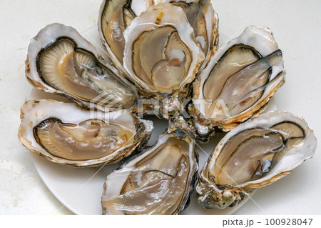 Served Oysters Tray 100928047