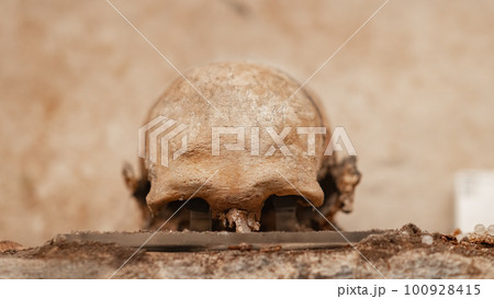 Old skulls in the catacombs closeup 100928415
