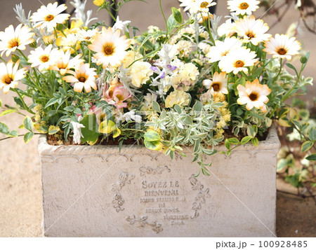 寄せ植え ナチュラルなフラワーアレンジメント 100928485