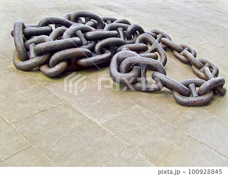 Chains 100928845