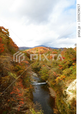 定義山周辺の紅葉（宮城県） 100929657