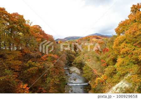 定義山周辺の紅葉(宮城県) 定義山周辺の紅葉(宮城県) 100929658