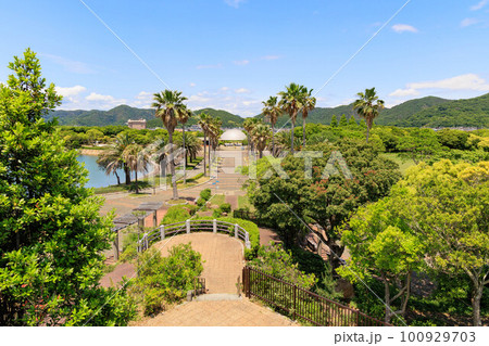 展望台から見た沖縄の南国イメージ 100929703