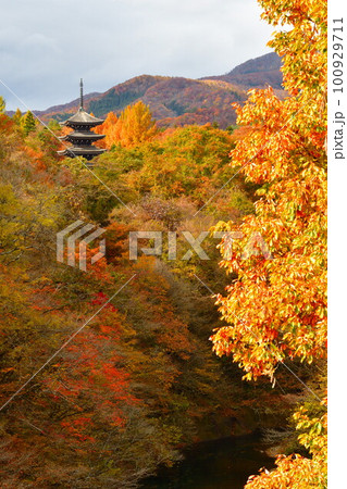 紅葉と定義山西方寺五重塔（宮城県） 100929711