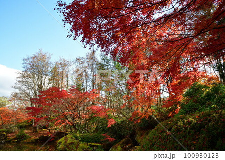 定義山西方寺の紅葉（宮城県） 100930123