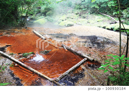 竹林の中にある美しい野湯の風景 竹林の中にある美しい野湯の風景 100930184