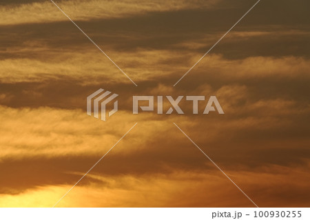 朝日に照らされる雲・春・望遠・空のみ・230301am 100930255