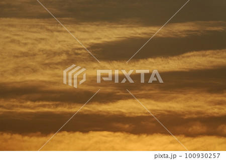 朝日に照らされる雲・春・望遠・空のみ・230301am 100930257