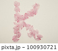 花びらで描いた英語の大文字“K” 100930721