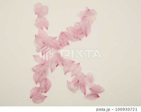 花びらで描いた英語の大文字“K” 100930721