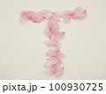 花びらで描いた英語の大文字“T” 100930725