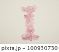 花びらで描いた英語の大文字“I” 100930730